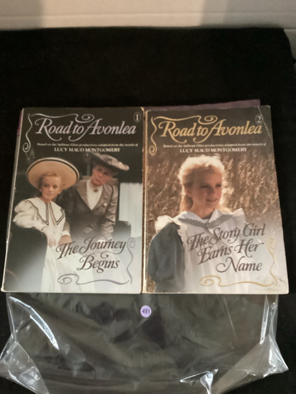491-1992 Road to Avonlea Book Series by Lucy Maud Montgomery Books 1 & 2